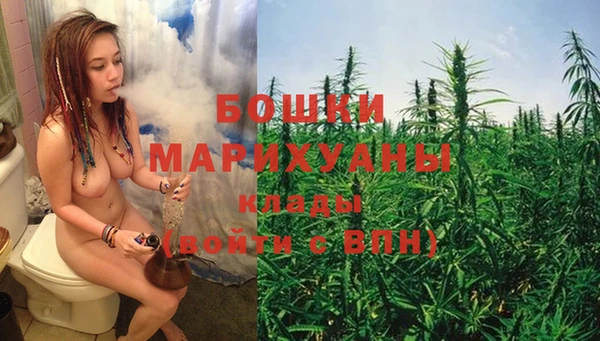 индика Дмитров