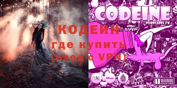 дурь Дмитриев