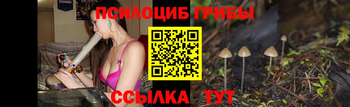 Псилоцибиновые грибы мицелий  Вход с VPN  Иркутск 